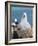 Black-Browed Albatross Chick on Tower Shaped Nest. Falkland Islands-Martin Zwick-Framed Photographic Print