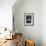 Black-Browed Albatross Chick Testing its Wings in New Island Nature Reserve, Falkland Islands-Michael Nolan-Framed Photographic Print displayed on a wall