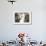 Black-Browed Albatross Greeting Courtship Display. Falkland Islands-Martin Zwick-Framed Photographic Print displayed on a wall