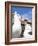 Black-Browed Albatross Greeting Courtship Display. Falkland Islands-Martin Zwick-Framed Photographic Print