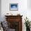 Black-browed Albatross in Flight, Falkland Islands-Charles Sleicher-Framed Photographic Print displayed on a wall