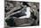 Black-Browed Albatross in Flight-DLILLC-Mounted Photographic Print