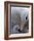 Black-Browed Albatross Preening Chick in Nest, Falkland Islands-Theo Allofs-Framed Photographic Print