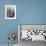 Black-Browed Albatross Preening Chick in Nest, Falkland Islands-Theo Allofs-Framed Photographic Print displayed on a wall