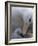 Black-Browed Albatross Preening Chick in Nest, Falkland Islands-Theo Allofs-Framed Photographic Print