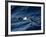 Black-Browed Albatross (Thalassarche Melanophrys), Southern Ocean, Antarctic, Polar Regions-Thorsten Milse-Framed Photographic Print