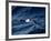 Black-Browed Albatross (Thalassarche Melanophrys), Southern Ocean, Antarctic, Polar Regions-Thorsten Milse-Framed Photographic Print