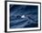 Black-Browed Albatross (Thalassarche Melanophrys), Southern Ocean, Antarctic, Polar Regions-Thorsten Milse-Framed Photographic Print