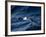 Black-Browed Albatross (Thalassarche Melanophrys), Southern Ocean, Antarctic, Polar Regions-Thorsten Milse-Framed Photographic Print