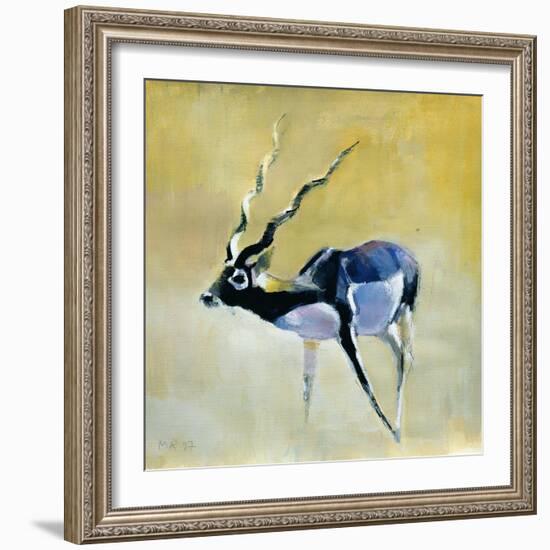 Black Buck, Velavadar, 1997-Mark Adlington-Framed Giclee Print