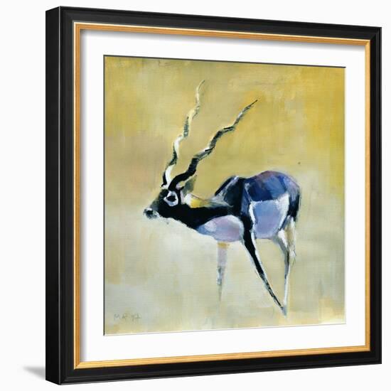 Black Buck, Velavadar, 1997-Mark Adlington-Framed Giclee Print