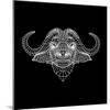 Black Buffalo Mesh-Lisa Kroll-Mounted Art Print