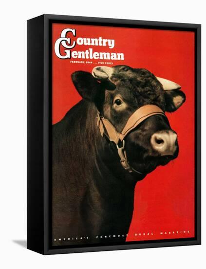 "Black Bull," Country Gentleman Cover, February 1, 1944-Salvadore Pinto-Framed Premier Image Canvas