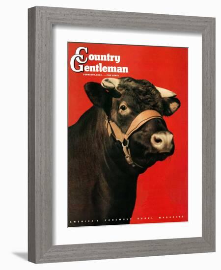 "Black Bull," Country Gentleman Cover, February 1, 1944-Salvadore Pinto-Framed Giclee Print