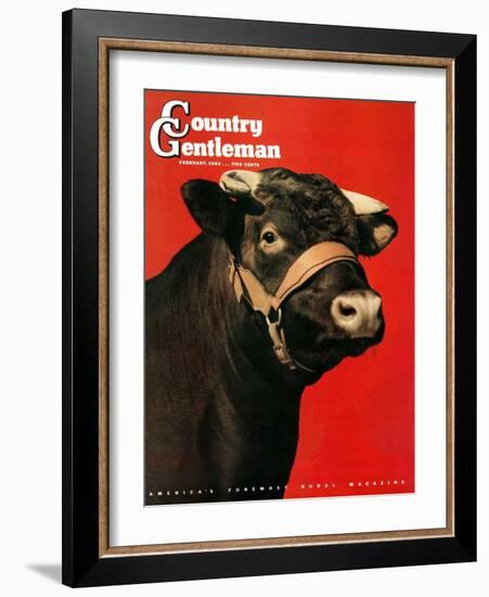 "Black Bull," Country Gentleman Cover, February 1, 1944-Salvadore Pinto-Framed Giclee Print