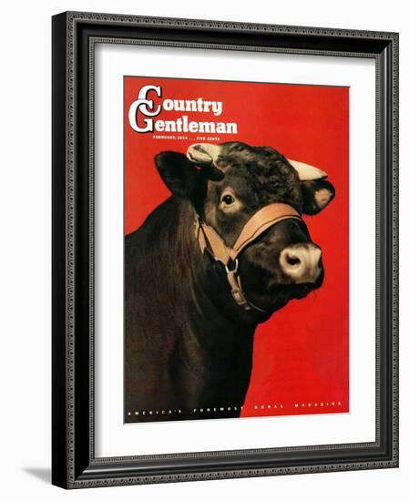 "Black Bull," Country Gentleman Cover, February 1, 1944-Salvadore Pinto-Framed Giclee Print