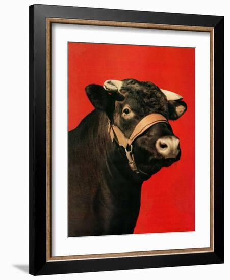 "Black Bull,"February 1, 1944-Salvadore Pinto-Framed Giclee Print