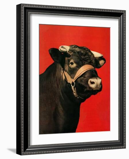 "Black Bull,"February 1, 1944-Salvadore Pinto-Framed Giclee Print