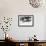 Black Bull-Mark Adlington-Framed Giclee Print displayed on a wall