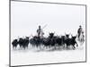 Black Bulls of Camargue and their Herders Running Through the Water, Camargue, France-Nadia Isakova-Mounted Photographic Print