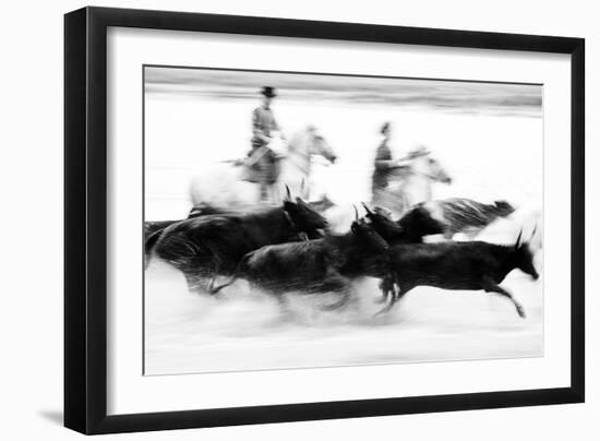 Black Bulls of Camargue and their Herders Running Through the Water, Camargue, France-Nadia Isakova-Framed Photographic Print