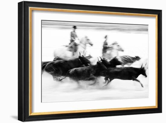 Black Bulls of Camargue and their Herders Running Through the Water, Camargue, France-Nadia Isakova-Framed Photographic Print