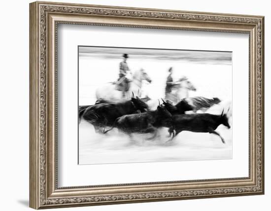 Black Bulls of Camargue and their Herders Running Through the Water, Camargue, France-Nadia Isakova-Framed Photographic Print