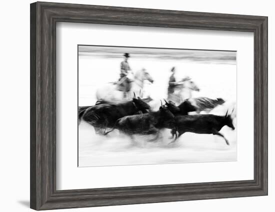 Black Bulls of Camargue and their Herders Running Through the Water, Camargue, France-Nadia Isakova-Framed Photographic Print