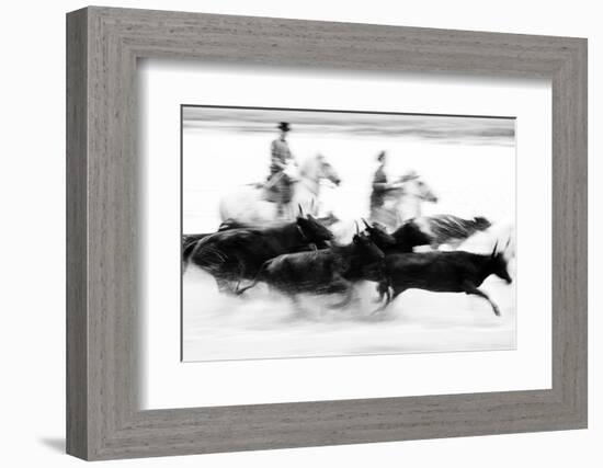 Black Bulls of Camargue and their Herders Running Through the Water, Camargue, France-Nadia Isakova-Framed Photographic Print