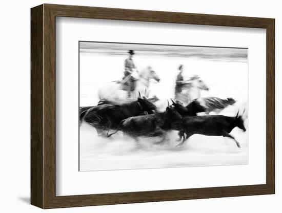 Black Bulls of Camargue and their Herders Running Through the Water, Camargue, France-Nadia Isakova-Framed Photographic Print