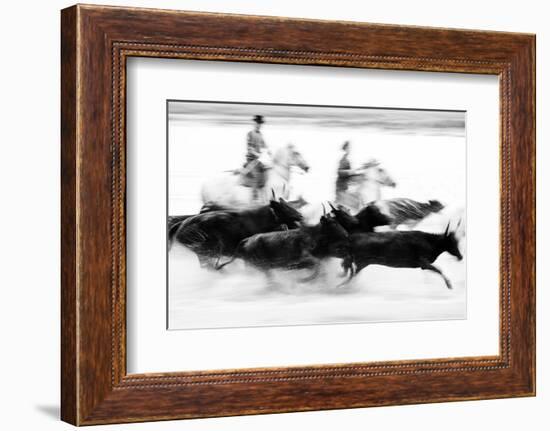 Black Bulls of Camargue and their Herders Running Through the Water, Camargue, France-Nadia Isakova-Framed Photographic Print