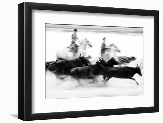 Black Bulls of Camargue and their Herders Running Through the Water, Camargue, France-Nadia Isakova-Framed Photographic Print