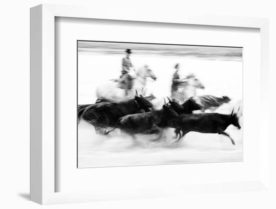 Black Bulls of Camargue and their Herders Running Through the Water, Camargue, France-Nadia Isakova-Framed Photographic Print