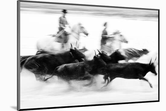 Black Bulls of Camargue and their Herders Running Through the Water, Camargue, France-Nadia Isakova-Mounted Photographic Print