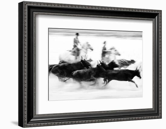 Black Bulls of Camargue and their Herders Running Through the Water, Camargue, France-Nadia Isakova-Framed Photographic Print