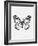 Black Butterfly II-Eline Isaksen-Framed Art Print