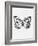 Black Butterfly III-Eline Isaksen-Framed Art Print