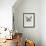 Black Butterfly on Tan-Design Fabrikken-Framed Photographic Print displayed on a wall