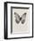 Black Butterfly on Tan-Design Fabrikken-Framed Photographic Print