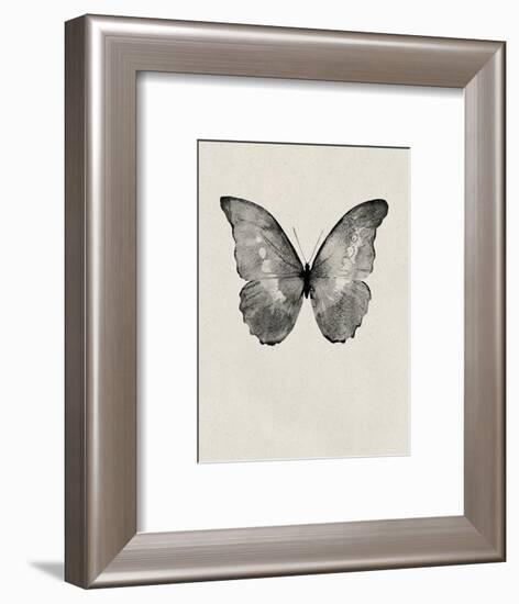 Black Butterfly on Tan-Design Fabrikken-Framed Photographic Print