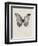 Black Butterfly on Tan-Design Fabrikken-Framed Photographic Print