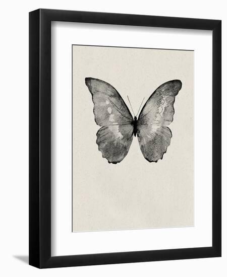 Black Butterfly on Tan-Design Fabrikken-Framed Photographic Print