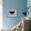 Black Butterfly-Ikahl Beckford-Framed Giclee Print displayed on a wall