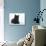 Black Cairn Terrier Lying Down with Head Up-Petra Wegner-Photographic Print displayed on a wall