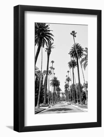 Black California Series - Beverly Hills Palm Alley II-Philippe Hugonnard-Framed Photographic Print