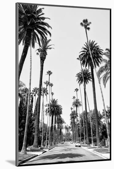 Black California Series - Beverly Hills Palm Alley II-Philippe Hugonnard-Mounted Photographic Print