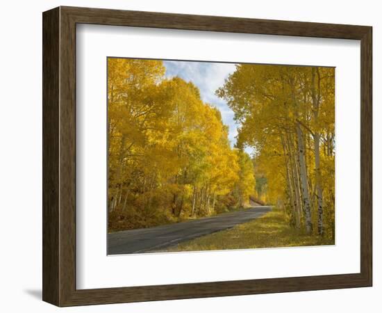 Black Canyon, Gunnison National Park, Colorado, USA-Don Grall-Framed Photographic Print