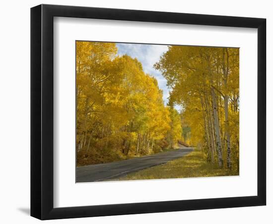 Black Canyon, Gunnison National Park, Colorado, USA-Don Grall-Framed Photographic Print