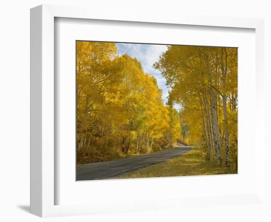 Black Canyon, Gunnison National Park, Colorado, USA-Don Grall-Framed Photographic Print