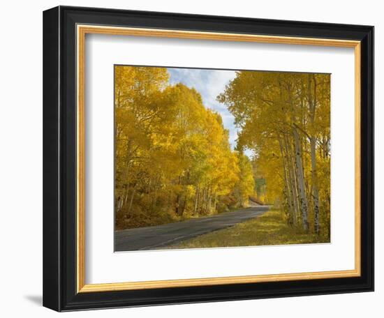 Black Canyon, Gunnison National Park, Colorado, USA-Don Grall-Framed Photographic Print